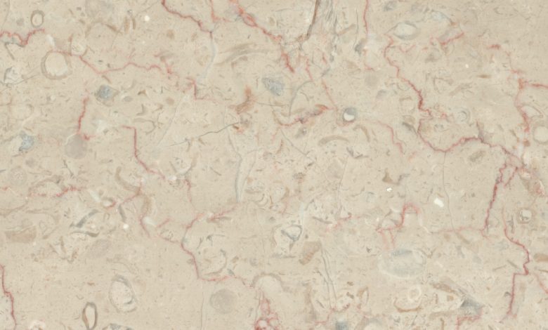 روشنی روژین در پروژه شما